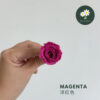 Magenta 洋红色