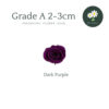 Dark Purple