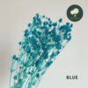 Blue - 95g only