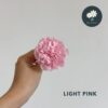 Light Pink