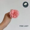 Pink Lady