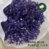 Dark Blue Purple