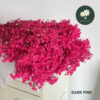 Dark Pink
