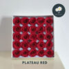 Plateau Red