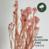 Light Blossom Pink