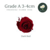 Dark Red 深红