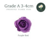 Purple Red