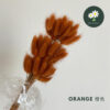 Orange 橙色