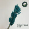 Tiffany Blue 尼蓝色