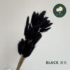 Black 黑色