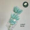 Light Blue 浅蓝