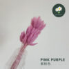 Pink Purple 紫粉色