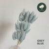 Grey Blue 灰蓝色