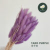 Taro Purple 香芋紫