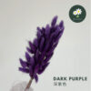 Dark Purple 深紫色
