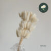 White 白色