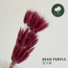 Bean Purple 豆沙紫