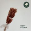 Light Brown