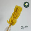 Yellow 黄色