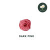 Dark Pink