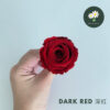 Dark Red
