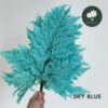 Sky Blue