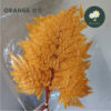 Orange 橙色