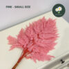 Pink-Small Size