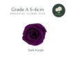 Dark Purple 深紫色