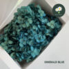 Emerald blue 翠蓝色