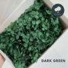4g Dark Green