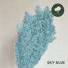 Sky Blue 天空蓝