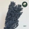Grey 灰色