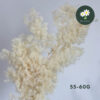 Beige 55-60g Only
