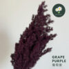 Grape Purple 葡萄紫