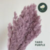 Taro Purple 香芋紫
