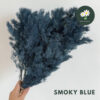 Smoky Blue