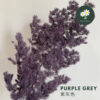 Purple Grey 紫灰色