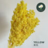 Yellow 黄色
