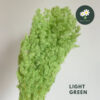 Light Green 浅青色