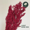 Light Wine Red