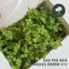 Grass Green 草绿
