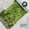 Yellow Green
