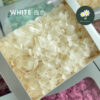 White 白色