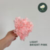 Bright Pink