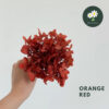 Orange Red