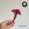 Pink Purple