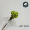Light Green 90-100pcs