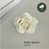 Pure White 纯白色