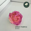 Spray Purple 紫喷色